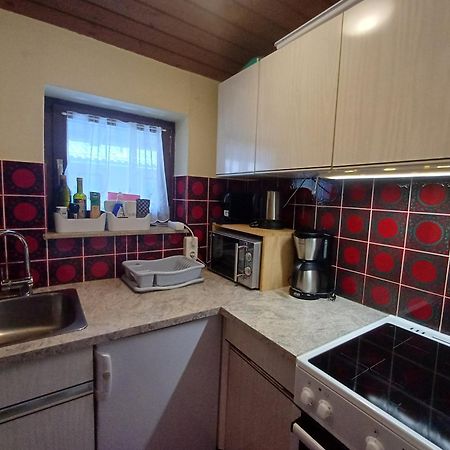 Apartment Schmid - Steinbock Lodges Maishofen Εξωτερικό φωτογραφία